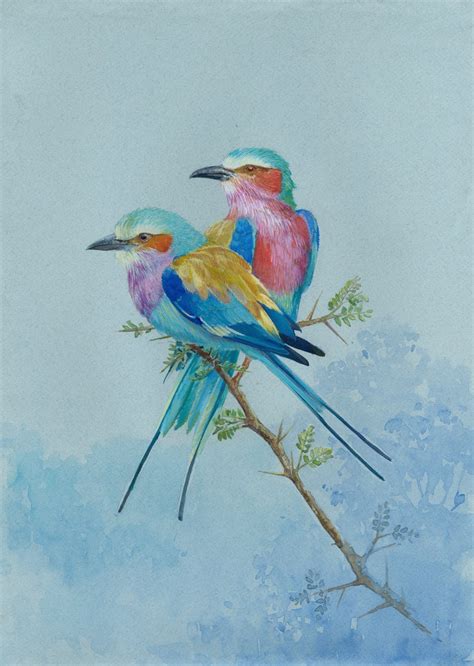 Love Birds Art Prints And Original Watercolor Lilac Breasted Etsy In 2021 Bird Watercolor