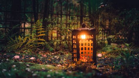Nature Natural Light Lantern Outdoors Leaves Wallpapers Hd
