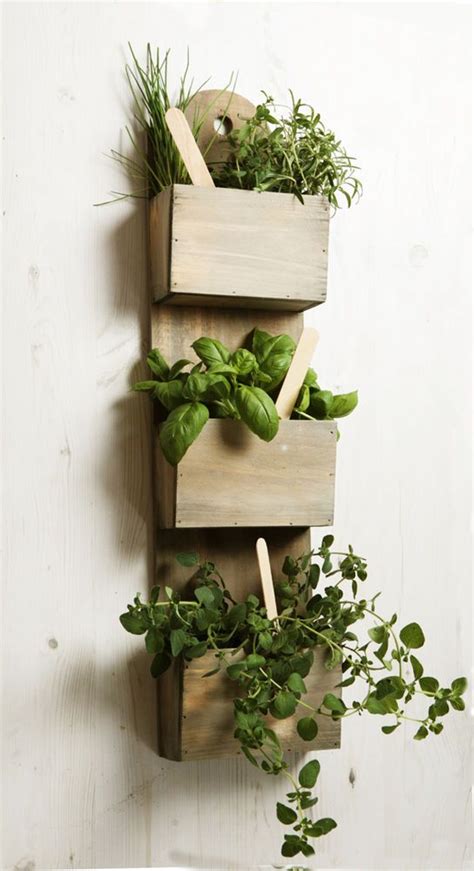 Wall Mounted Wooden Kitchen Herb Planter Kit With Seeds Indoor Garden