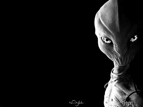 Alien Wallpaper And Background Image 1600x1200 Id456119