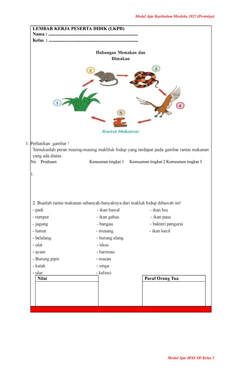 Materi Ipas Kelas 5 Kurikulum Merdeka Bab 2 Topik A Rantai Makanan