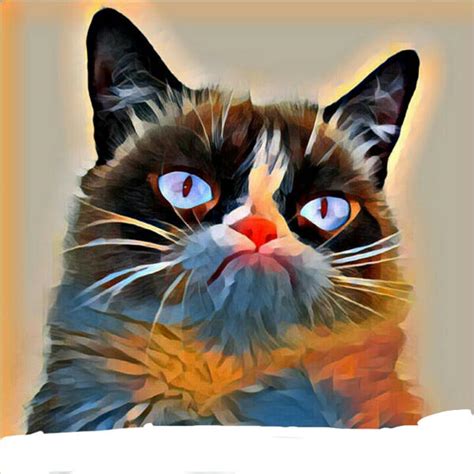 Grumpy Cat By Lillyflower808 On Deviantart
