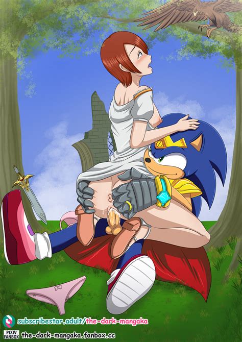 Rule 34 Duo Female Hedgehog Male Princess Elise Sex Sonic Series Sonic And The Black Knight