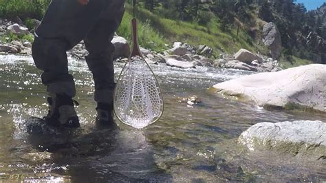 Cabins on the big thompson river in estes park, colorado within with of 1 mile of rocky mountain national park. Big Thompson River Colorado - YouTube