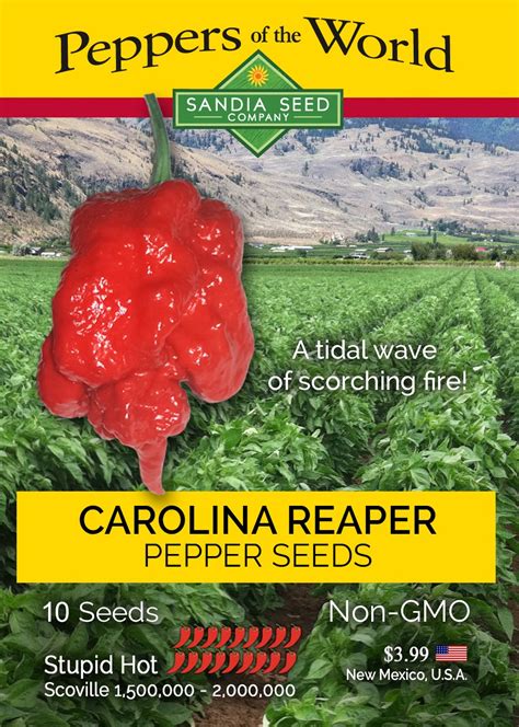 Hottest Peppers In The World Sandia Seed Company