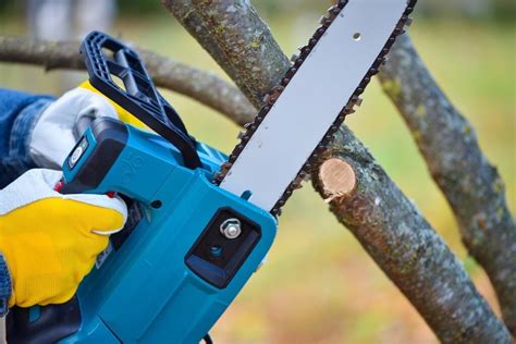 The 5 Best Lightweight Chainsaws Designed To Make Your Life Easier