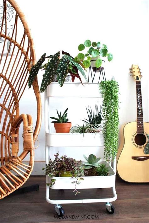 10 indoor garden design ideas to inspire you. The Perfect Plant Shelf in 6 Simple Steps | Plant decor ...