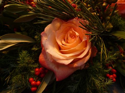무료 이미지 분기 꽃잎 장미 꽃 빨간 낭만적 인 플로라 크리스마스 트리 크리스마스 장식 부케 플로리스트 리