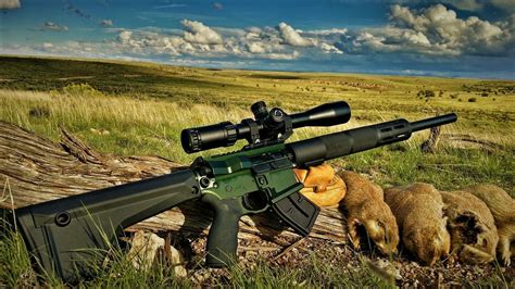 The Best Varmint Rifle Buying Guide January 2024 Life Under Sky