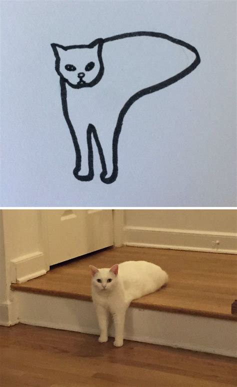 The Best 15 Meme Cat Drawing Hotspursitpics