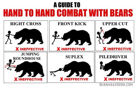 effective hand to hand bear combat