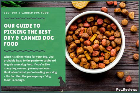 10 Best Dog Food Brands Dry And Canned 2020 Dog Food Reviews