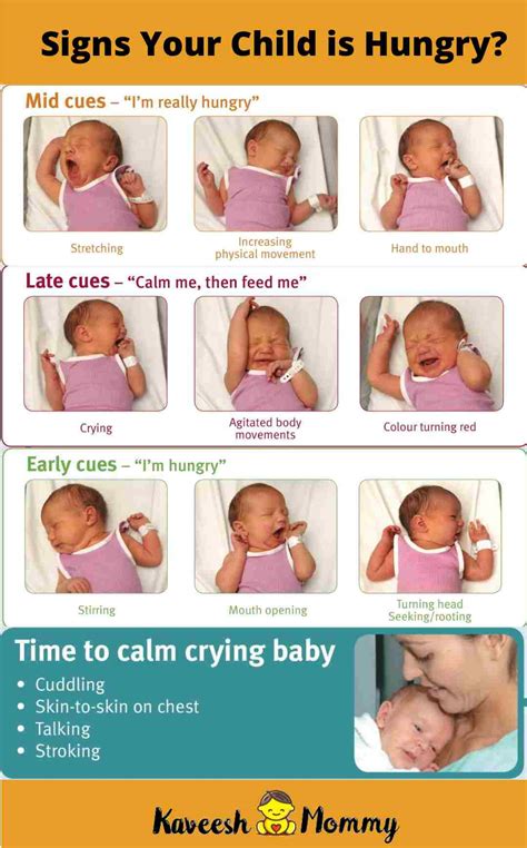 Signs Your Baby Is Getting Enough Breast Milk