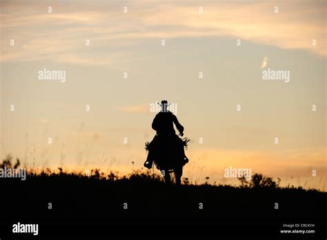 Cowboy Riding Into Sunset Hi Res Stock Photography And Images Alamy