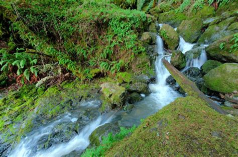 Waterfall Through A Moss Covered Rock Area Stock Image Image Of