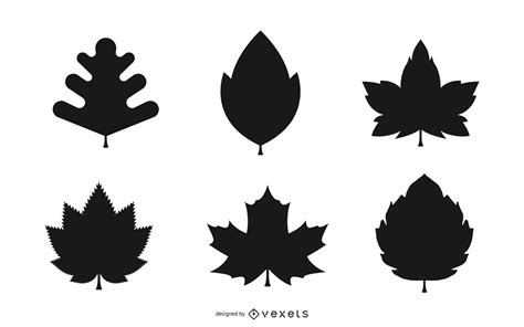 Autumn Leaves Silhouette Set In Black Vector Download