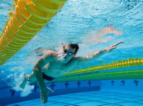 The Advantage Faster Swimmers Have Over Slower Swimmers Is Technique