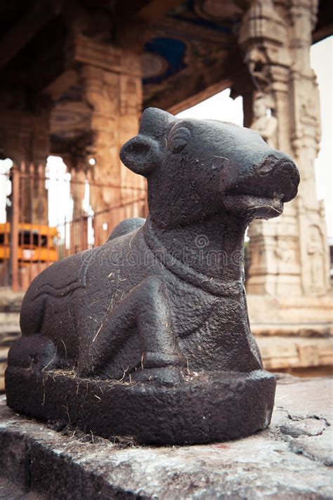 Statue Of Nandi Bull At Hindu Temple India Stock Photo Image Of