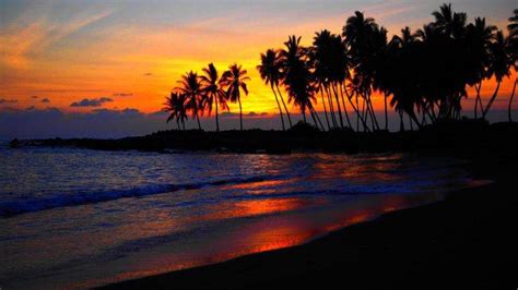 Beach Sunset Palm Trees Wallpapers Hd Desktop And