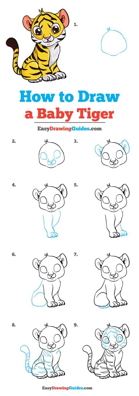 Steps To Draw A Tiger