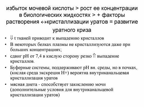 Диета для снижения мочевая кислота Мочевая Кислота Стала В Норме Какая Диета — Похудение Диета Правильное Мочевая Кислота Стала В Норме Какая Диета — Похудение Диета Правильное Диета для снижения мочевая кислота
