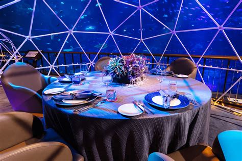 Aqua credit card opening hours. You Can Now "Dine Under The Sea" In A Private Bubble Pod At S.E.A Aquarium Till 31st Oct