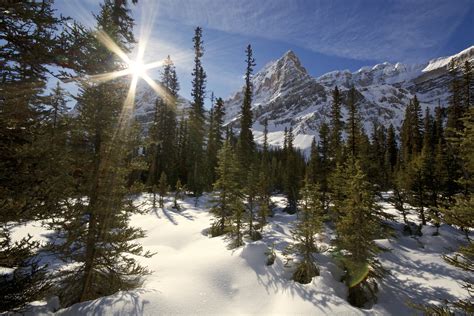 Wallpaper Park Winter Light Shadow Sky Cliff Sun Canada Ski