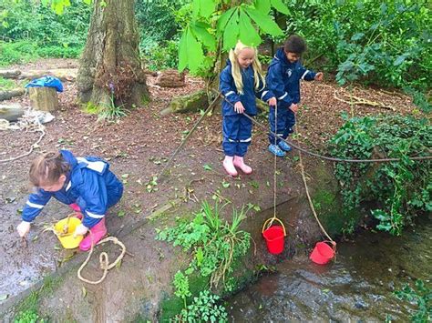 Forest Schools Forestschools Forest School Forest School