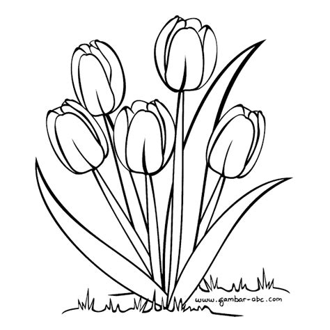 Gambar Bunga Tulip Tulip Drawing Flower Coloring Pages Flower Art