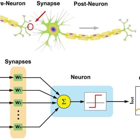 Pdf Low‐voltage Oscillatory Neurons For Memristor‐based Neuromorphic