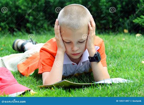 The Boy Reads Stock Image Image Of Lawn Attention Outlook 10511497