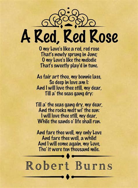 A4 Size Parchment Poster Classic Poem Robert Burns A Red Red Rose By