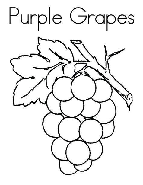 Grape Vine Coloring Page At Free Printable Colorings