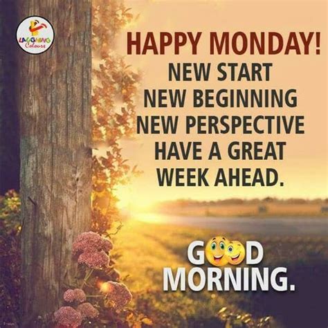 Yes Have A Happy Monday And Have A Terrific Week Good Morning