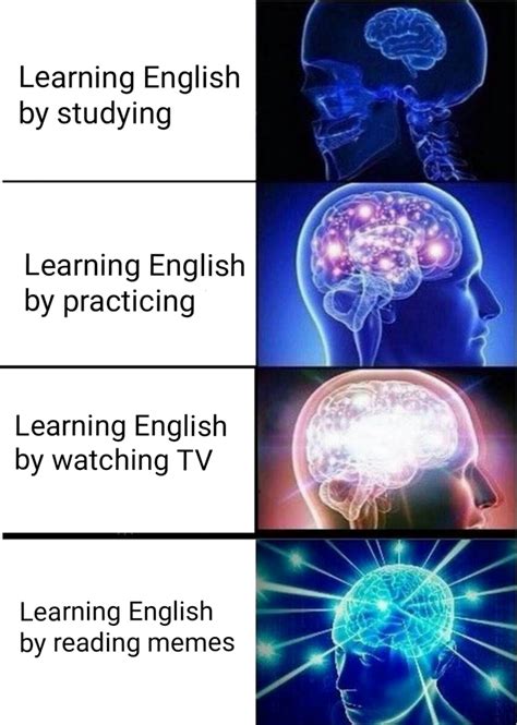 I Am Learning English With All Of This Methods And You Rmeme