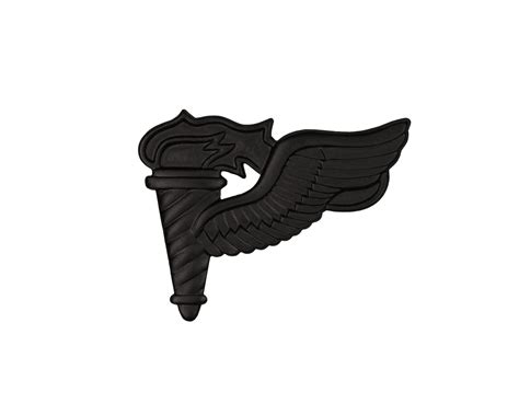 Us Army Pathfinder Sta Brite Black Metal Pin On Badge Sta Brite