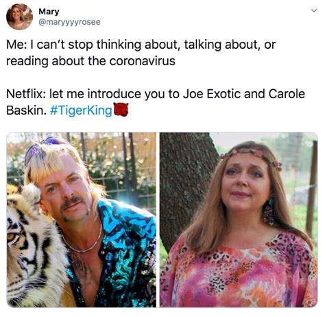 Tiger King Memes 41 Of The Craziest Reactions To The Joe Exotic