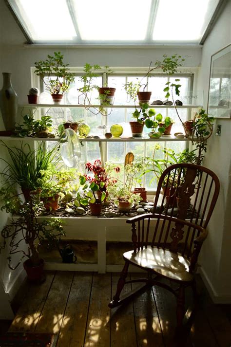 diy  ideas  window herb garden   kitchen