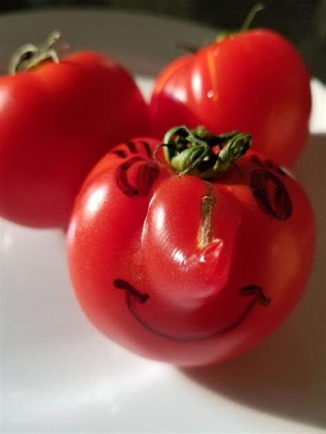 Funny Tomato Tomato Vegetables Funny Food Essen Vegetable Recipes