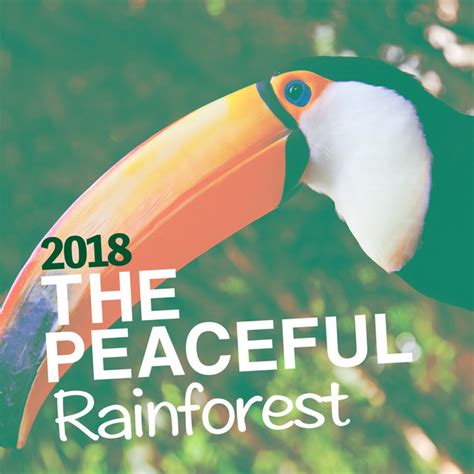 2018the Peaceful Rainforest Album By The Rainforest Collective Spotify