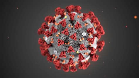 Coronavirus Faq What You Need To Know About The Virus The Washington