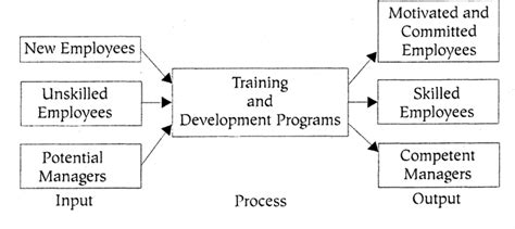 Essentials Of Human Resource Training And Development Hr People