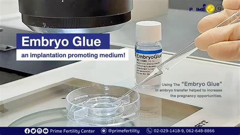 Getting To Know “embryo Glue” An Implantation Promoting Medium