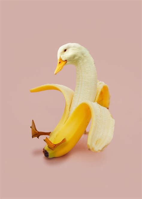 Banana Goose Poster Picture Metal Print Paint By Eko Cahyo Displate