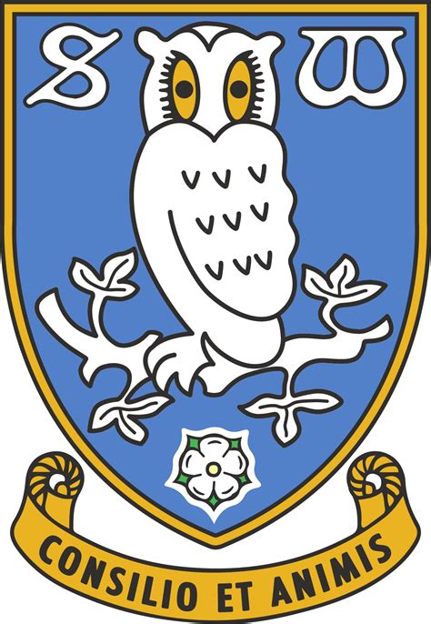 Video sergiu buș, după primul său gol în anglia: Sheffield Wednesday Football Club — Wikipédia