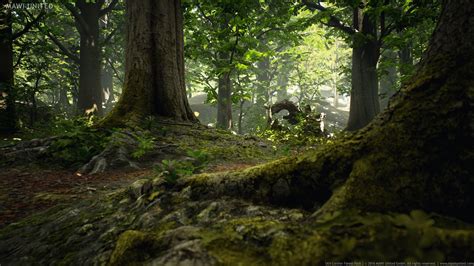Updated Version Of The Realtime Broadleaf Forest In Unreal Engine 4