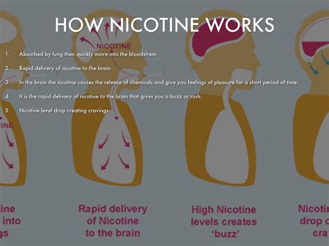 Nicotine By 14525