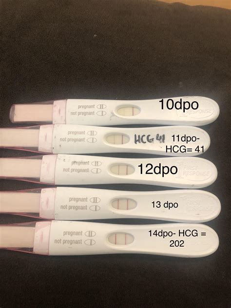 FRER tests from 10dpo to 14 DPO with a couple of beta HCG numbers : r