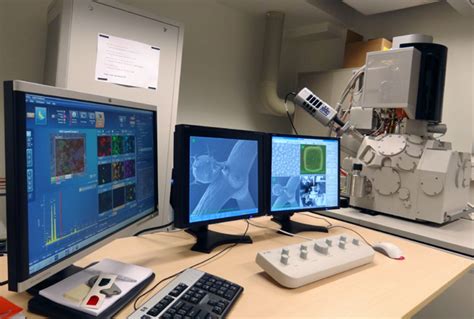 Ultra High Resolution Cryo Scanning Electron Microscopy SEM WUR