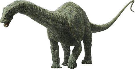 Apatosaurus Jurassic Park Wiki Fandom